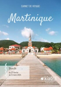 apercu-cdv-martinique-01